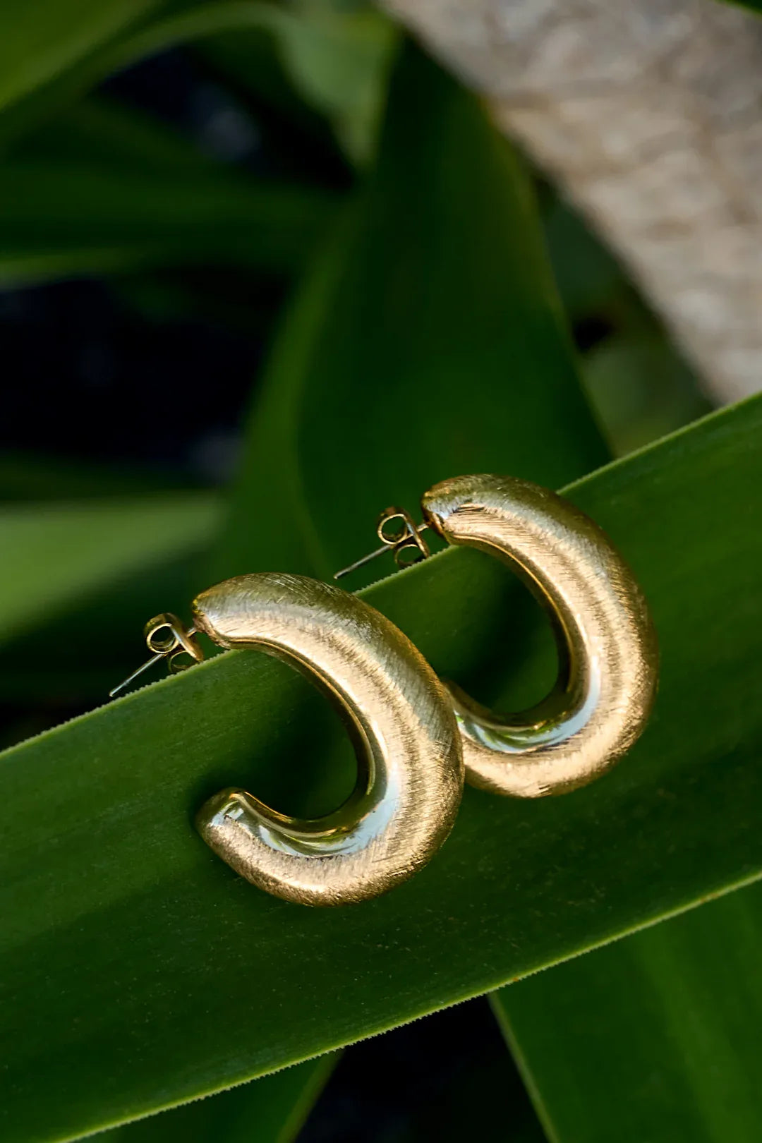 Hoop Earrings circle Casual Daily Simple Series Women's jewelry